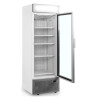 Vitrina Congelador Puerta de Cristal con Canopy Silver - 440L TEFCOLD: presentación óptima de sus productos congelados