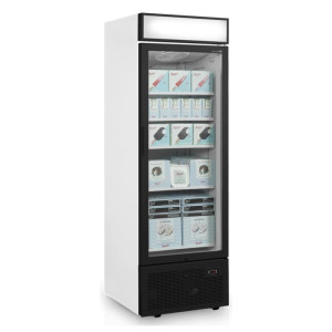 Vitrine congélateur porte vitrée avec canopée - 440L TEFCOLD : présentation optimale de vos produits surgelés