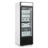 Glass door freezer display with canopy - 440L TEFCOLD: optimal presentation of your frozen products