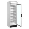 Vitrina Congelador Puerta de Cristal con Canopy - 270 L TEFCOLD: Presentación óptima de sus productos congelados