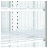 Black Vertical Freezer Showcase - 702 L | TEFCOLD | Ideal for professional catering | Energy saving, glass doors