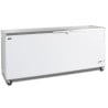 Congelador Arcón de Hielo Inox 600L - TEFCOLD CF700S SL