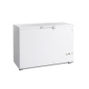 TEFCOLD Ice Chest Freezer - White 377L: quality and practicality for professionals