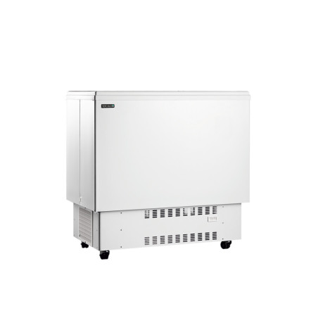 Refrigerador Cofre para Bebidas Blanco 226 L TEFCOLD - Frío & Almacenamiento