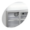 Mini Armario Refrigerado TEFCOLD 60L con Canopy y 2 Puertas de Vidrio