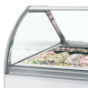 Ventilated Ice Display Case with Curved Front - TEFCOLD