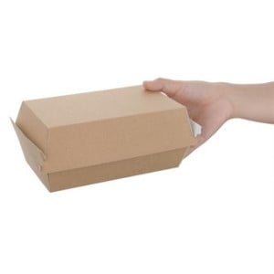 Pequeñas Cajas Compostables de 172 mm - Lote de 200, Prácticas y Ecológicas