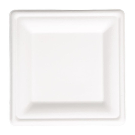 Compostable square plates made of bagasse 204mm - Pack of 50, eco-friendly and recyclable.