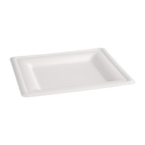 Platos cuadrados compostables de bagazo de caña de azúcar de 204 mm - Paquete de 50, ecológicos y reciclables.