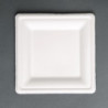 Square compostable bagasse plates 261 mm - Pack of 50 - Eco-friendly and practical