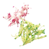 Discos Bastones - Juliana Robot-Coupe Para R101XL / R201XL / R211XL / R301 / R301Ultra / R 401 / CL20