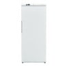 Armoire Refrigerada Ventilada 527 L +2/+8 °C — Puerta Llena