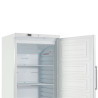 Armoire de Congélation Blanche Ventilée - 600 L - Dynasteel