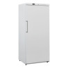 White Ventilated Freezer Cabinet - 600 L - Dynasteel