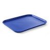 Bandej Rectangular Fast Food - Modelo Grande 450 x 350 mm - Azul