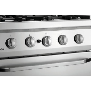 Horno de 4 fuegos con horno a gas GN 2/1 Serie 700