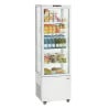 Professional Refrigerated Display Case - 235 L