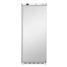 Stainless Steel Upright Refrigerator - 600 L