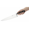 Cuchillo de Cocinero Hoja de 25,5 cm - DEGLON - Fourniresto