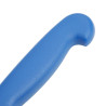 Cuchillo de filete azul hoja de 15 cm - Hygiplas - Fourniresto