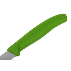 Cuchillo de oficina verde hoja dentada 8 cm - Victorinox - Fourniresto