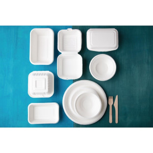 Assiettes en Bagasse Compostables 26 cm - Lot de 50  - Fiesta Green - Fourniresto