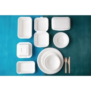 Platos de Bagazo Compostables 17,9cm - Lote de 50 - Fiesta Green - Fourniresto