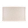 Bandeja de servicio de poliéster GN1/1 530x325mm Gris - Roltex - Fourniresto