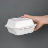 Boîtes À Hamburger Compostables - P 153mm - Lot de 500 - Fiesta Green