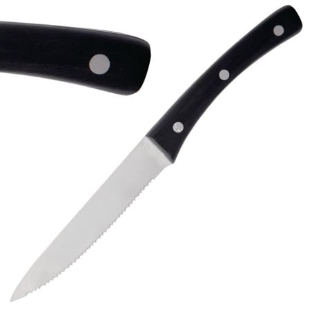 Cuchillo de carne Angus Abert - 230mm - FourniResto