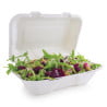 Cajas de comida de bagazo con tapa abatible - L 228mm - Paquete de 200 - Vegware