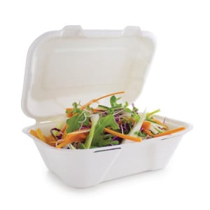 Cajas de comida de bagazo con tapa abatible - L 228mm - Paquete de 200 - Vegware