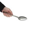 Serving Spoon - L 280 mm - Vogue