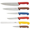 Case with Set of 6 Colored Knives - Hygiplas