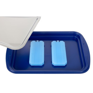 Refrigerated presentation platter with lid - APS - Fourniresto