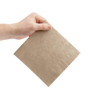 Recycled 2-Ply Snacking Napkins 330 mm Kraft - Pack of 2000