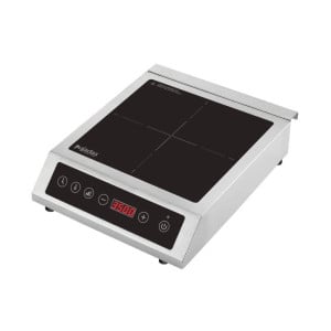 Control Táctil de Inducción - Pujadas