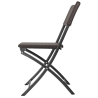 Brown PE Rattan Folding Chairs - Set of 2
