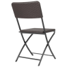 Brown PE Rattan Folding Chairs - Set of 2