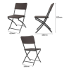 Brown PE Rattan Folding Chairs - Set of 2