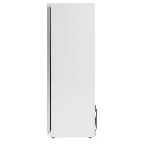 Armoire Congelación 400 L Vidriada Frío Ventilado -18/-22°C