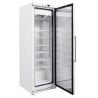 Armoire Congelación 400 L Vidriada Frío Ventilado -18/-22°C