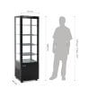 Vitrine Refrigerada Negro Series C 235 L - Polar