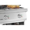 Freidora Eléctrica - Serie 700 - 2 x 11 L