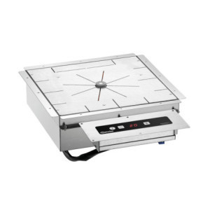 Sistema de Mantenimiento de Calor por inducción - 650 W