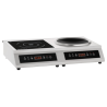 Placa y Wok de Inducción - 7000 W