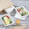 Compostable Bagasse Food Trays 1000ml - Pack of 100 - Fiesta Green