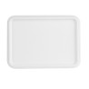 Compostable Bagasse Lids for Trays - Pack of 100 - Fiesta Green