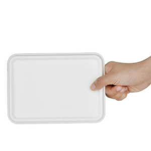 Compostable Bagasse Lids for Trays - Pack of 100 - Fiesta Green