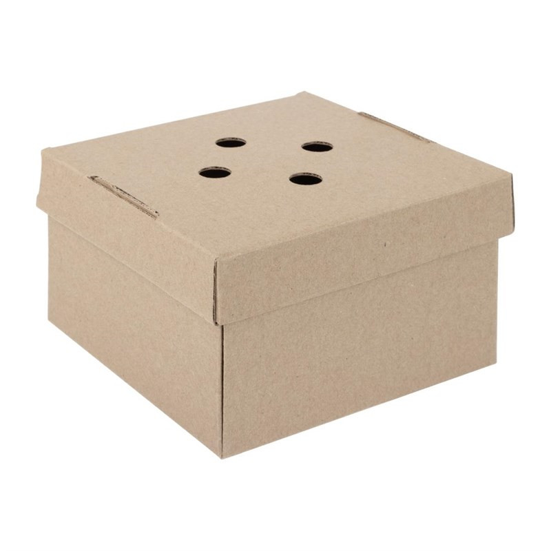Cajas de Hamburguesas Cuadradas Plegables - Lote de 100 - Fiesta Green
